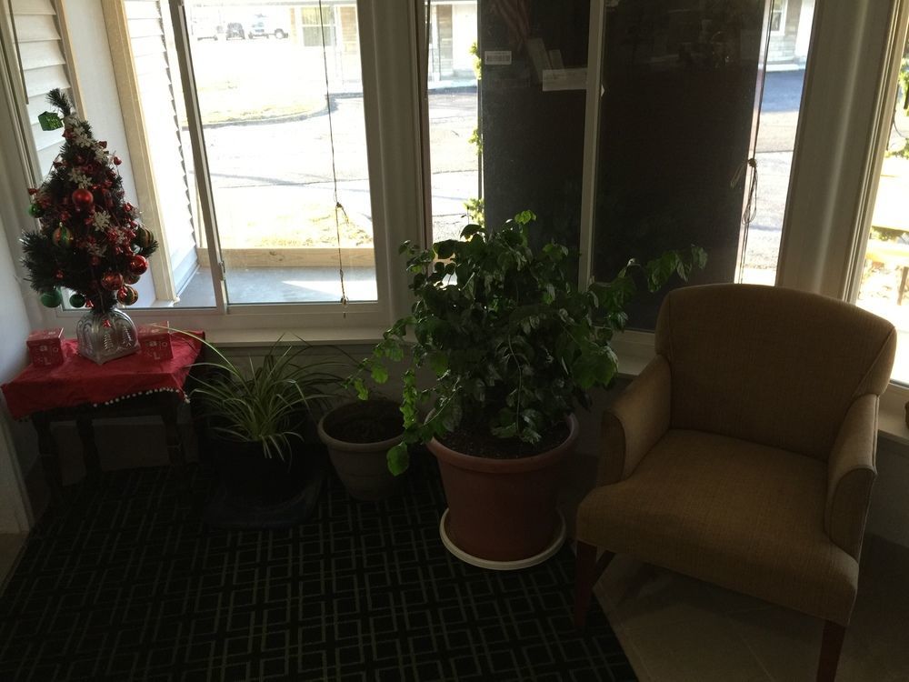 Cooper Motel Tuscola المظهر الخارجي الصورة